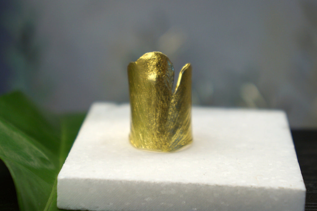 Ginkgo Leaf Ring – Handmade Silver Adjustable Band With Real Leaf Jewelry